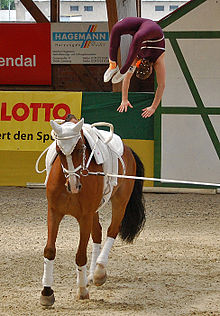 220px-Individual_vaulting.jpg